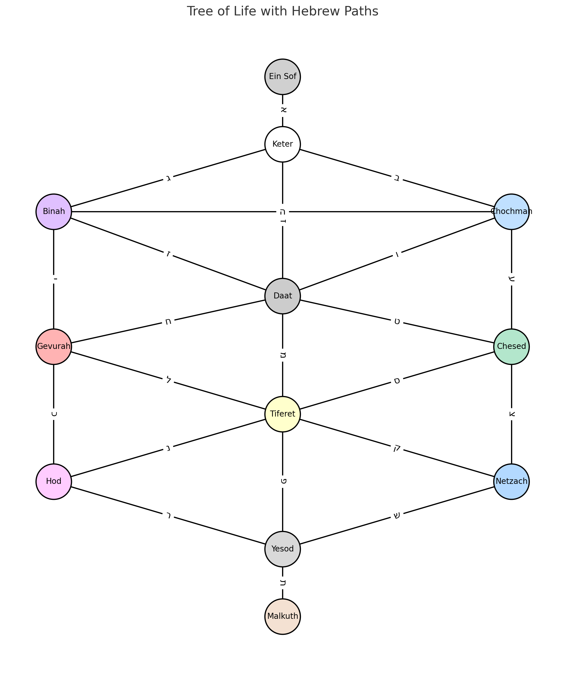 Tree of Life diagram